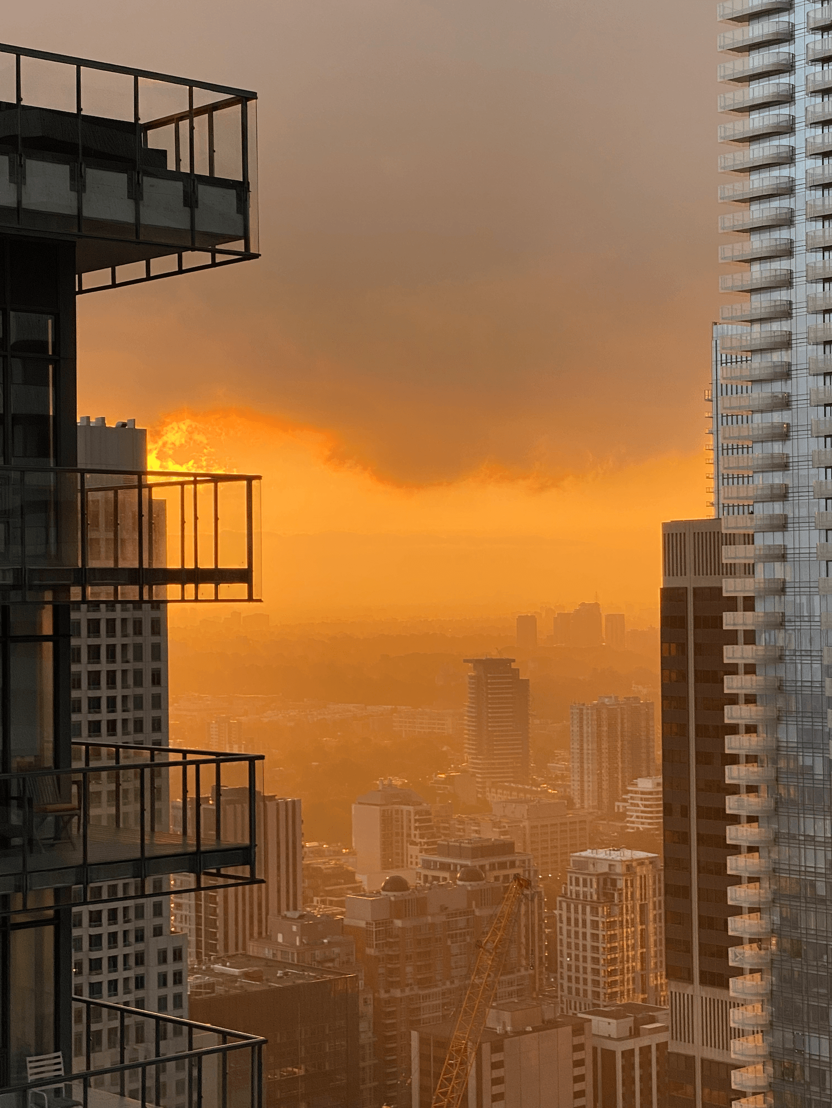 What Do I Expect for 2022 as a Developer